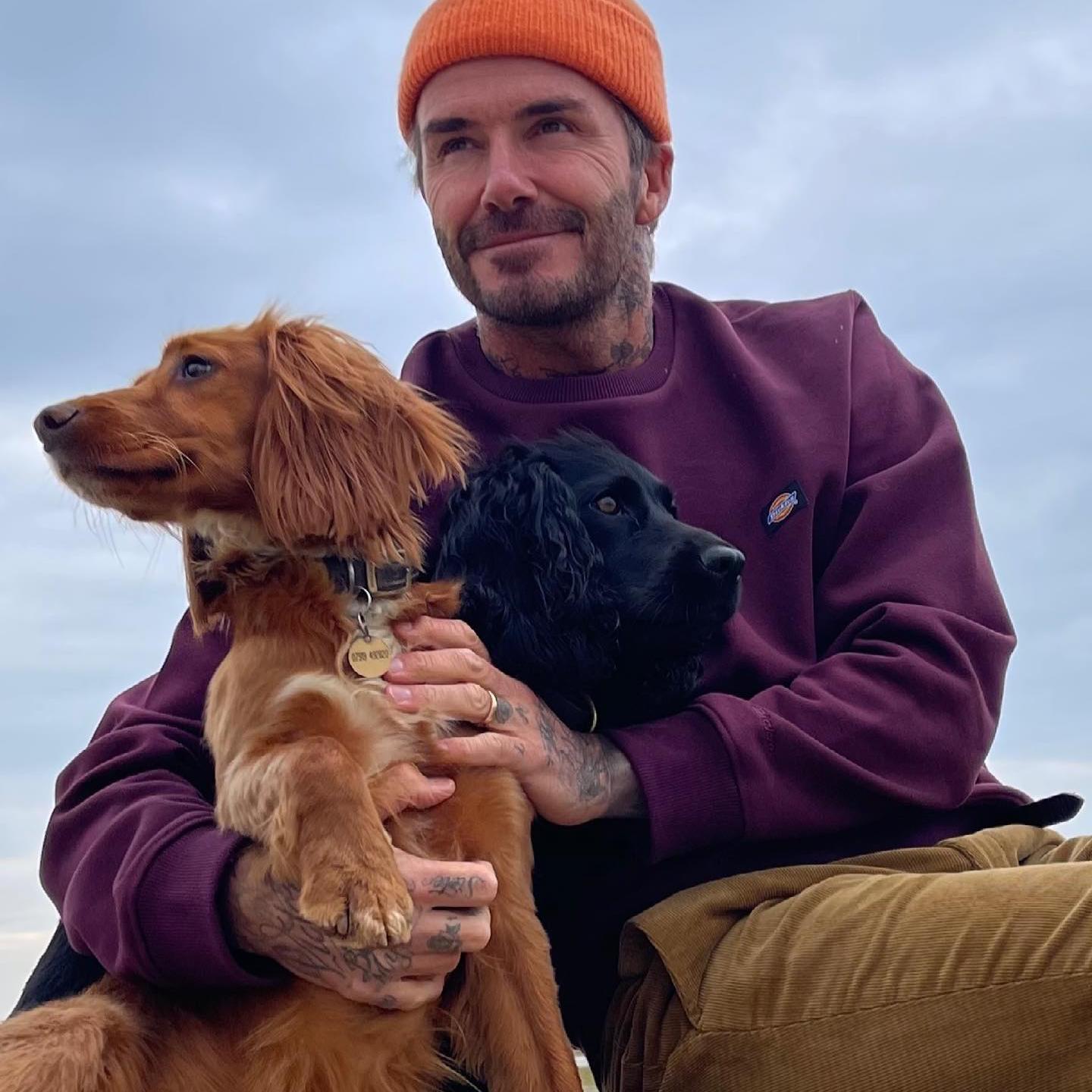El futbolista David Beckham en una imagen con dos de sus perros
