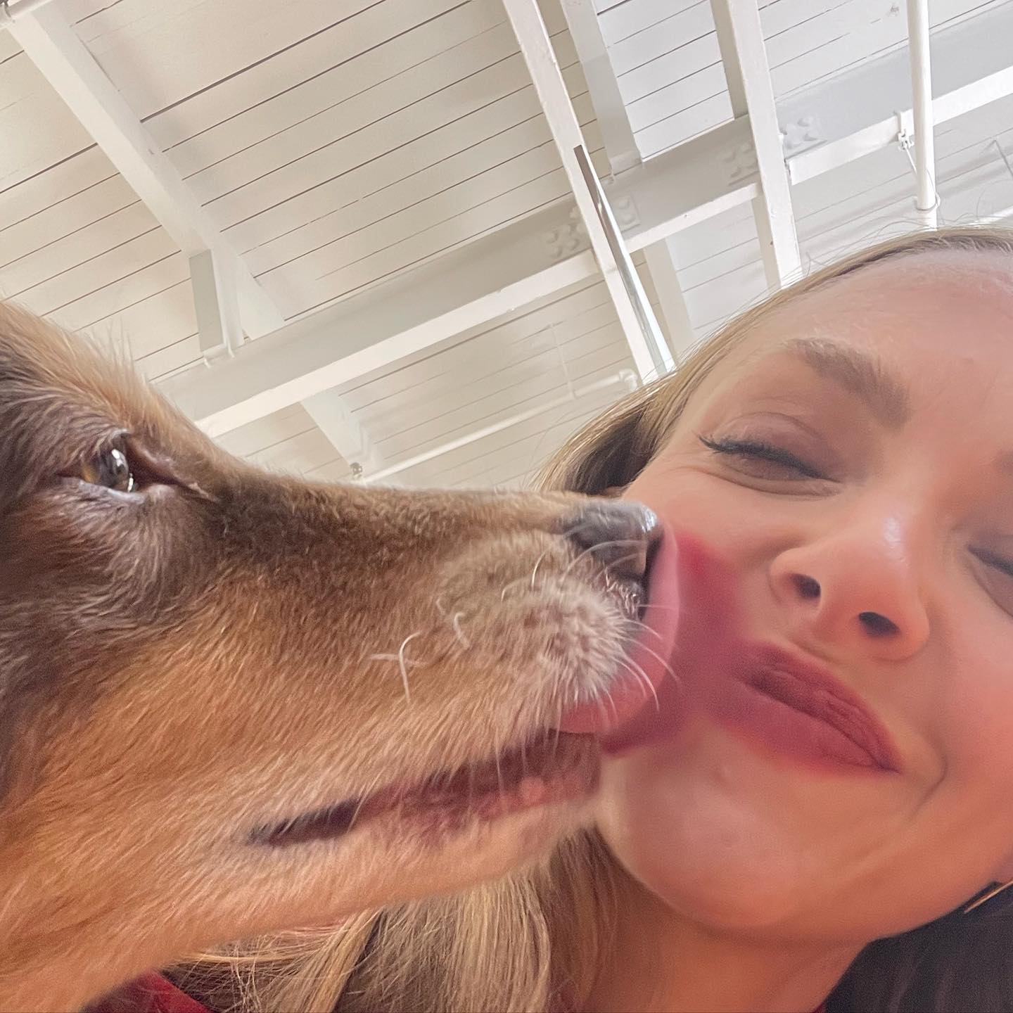 La actriz Amanda Seyfried en un selfie con su perro mientras le lame la cara