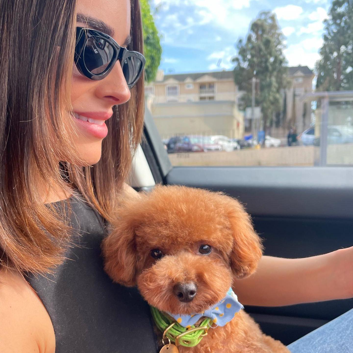 La modelo Olivia Culpo con su perro en el coche