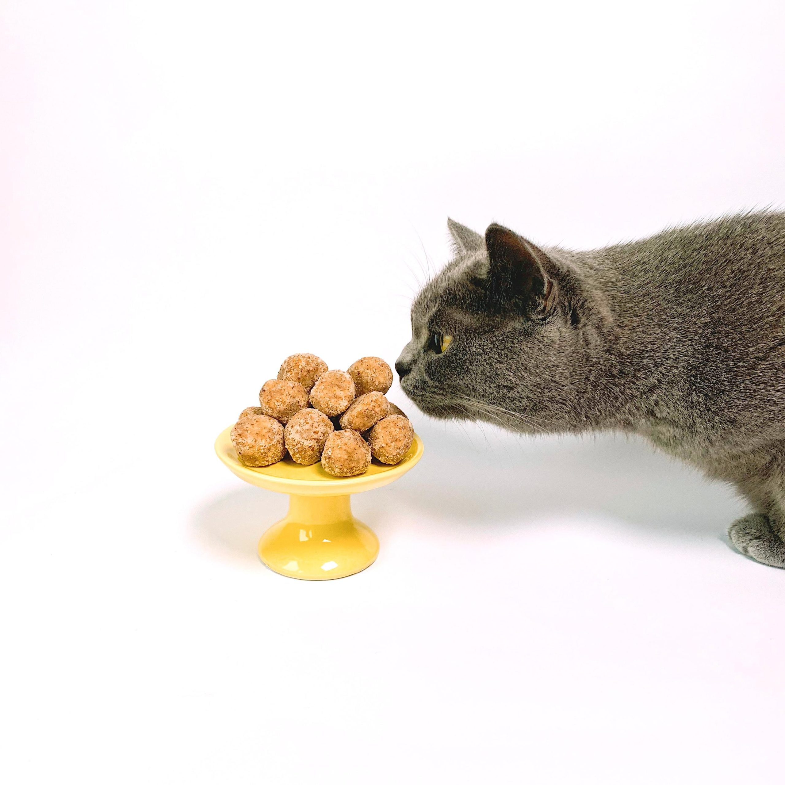 Imagen de un gato gris acercándose a un plato alto con bolas de comida